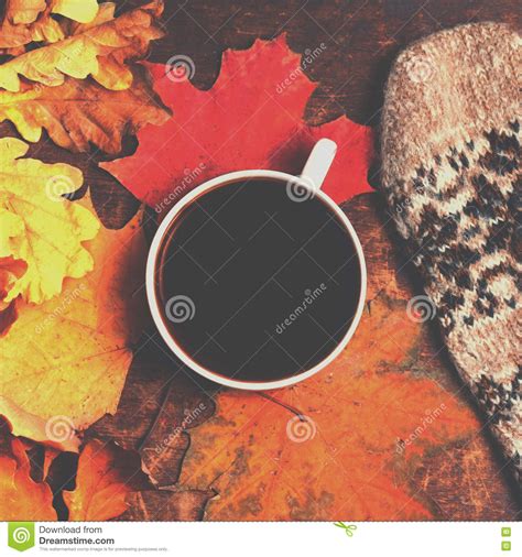 Autumn Fall Background With Leaves And Cup Of Black Coffee Au Stock