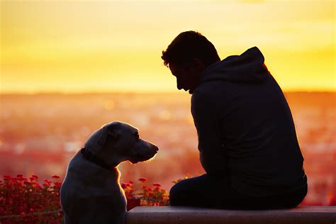 Man With Dog At The Sunrise Hillrag