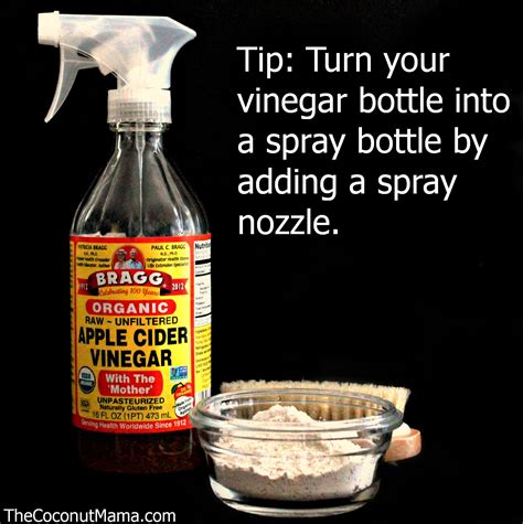 This simple home remedy is often used for a variety of things for humans. Bragg unfiltered Apple Cider Vinegar with spray bottle top ...