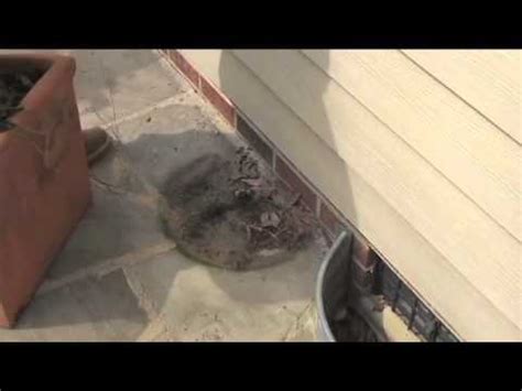 Learn about the best pest control in raleigh, n.c., to figure out how you can keep your loved ones and home safe. Raleigh Pest Control Company - YouTube