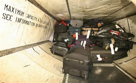 Etl News Blog A Baggage Handler Who Fell Asleep Inside A Cargo Hold Of