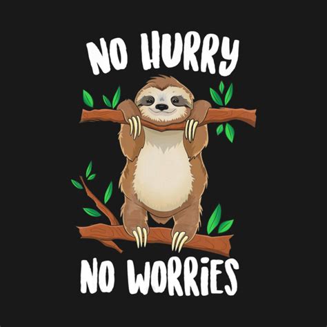 No Hurry No Worries Lazy Day Funny Sloth Tshirt No Hurry No Worries