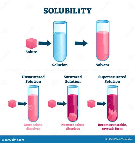 Solubility Vector Illustration Labeled Solute Solvent And Solution
