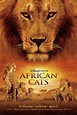 African Cats: Kingdom of Courage (#1 of 2): Extra Large Movie Poster ...