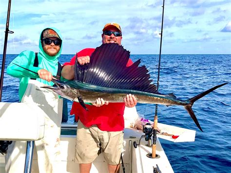 Deep Sea Fishing In Cortez The Complete Guide Updated 2023