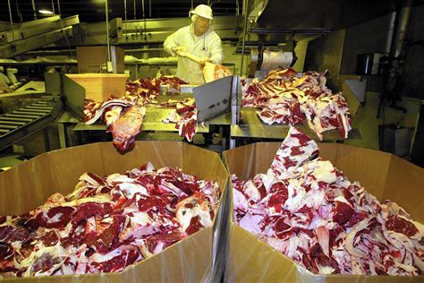 How We Went From Beef On The Hoof To Mystery Meat In A Box La Times
