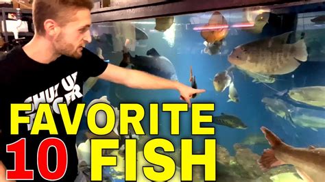 Josh Explains His Top Ten Fish At Ofr Youtube
