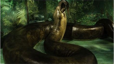 The Giant Snake That Stalked The Earth Bbc News