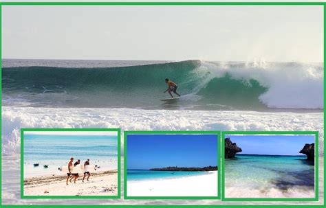 Cara pengolahannya pun cukup sederhana dan mudah, yaitu cukup digoreng sampai matang. 4 Pantai Keren Di Pulau Rote Yang Wajib Anda Kunjungi Saat ...