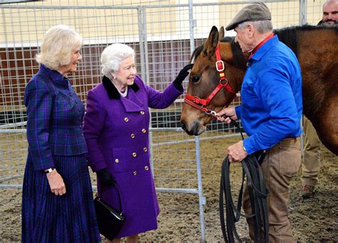 Queen Elizabeths Horse Trainer Talks Moment At Committal Service