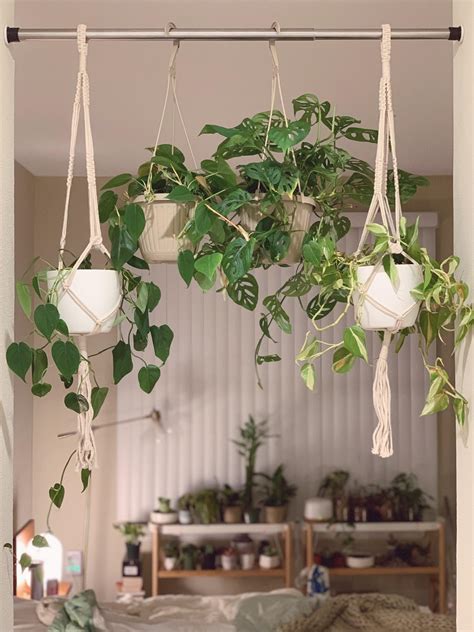 Our shoe trees take up very little floor space but hold plenty of shoes. Got that huge monstera adansonii for $8 from Lowe's. Also ...