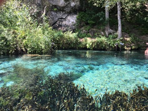 Marianna Travel Guide: Best of Marianna, Florida Travel 2024 | Expedia