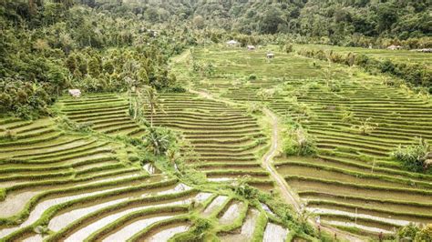 The 3 Most Magical Rice Terraces In Bali And Why You Have To Visit Them Tbw