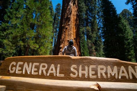 Top 9 Sequoia National Park Attractions