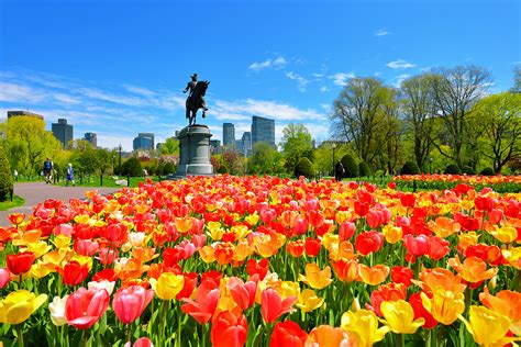 Boston Public Garden App Offers Interactive Tour