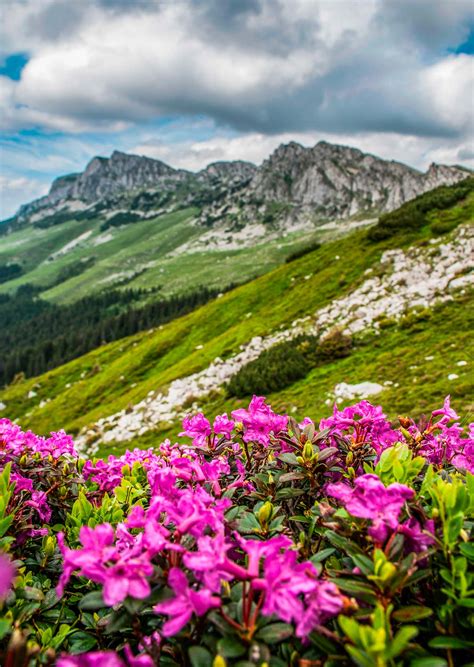Bucegi Mountains - True Romania