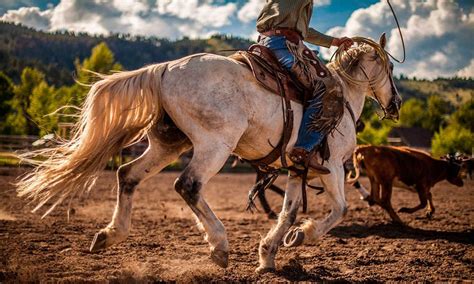 Ranch Rodeos Keeping American History Alive Cowgirl Magazine