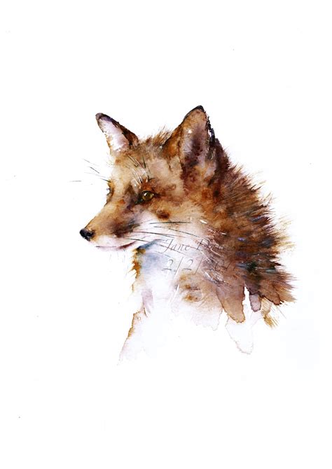 Fox Painted By Watercolour Artist Jane Davies Watercolor Fox