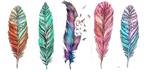 Plumes plumas png sin fondo 400×455 png download pngkit here you will get all types of png images with transparent background. Escritoras de Mundos: Reseña: El capitán calzoncillos y ...