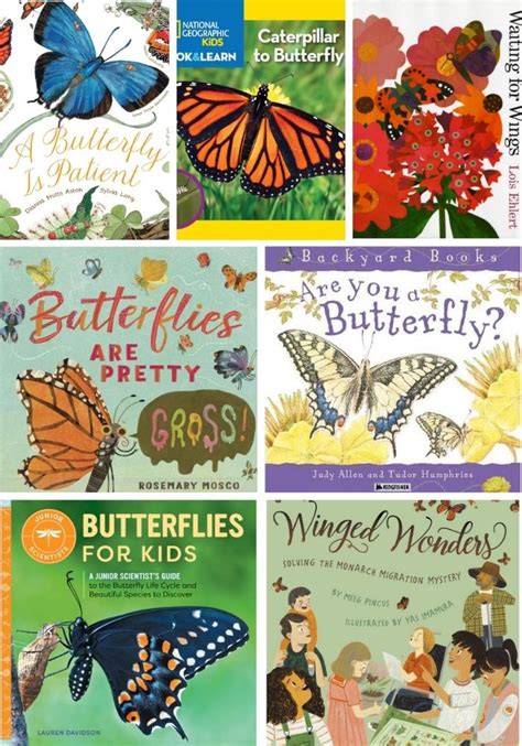 15 Butterfly Books For Preschool Fun A Day