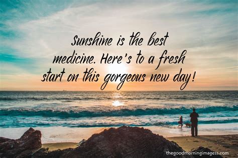 Sun shine good morning in 2020 | Good morning images, Good morning massage, Morning images