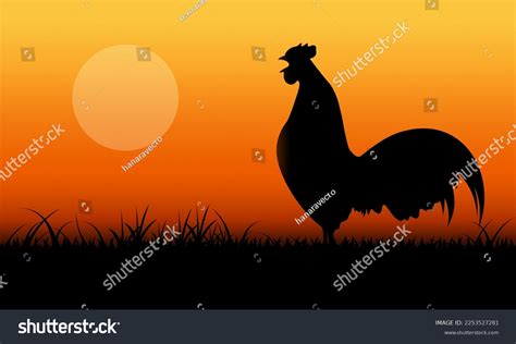 1062 Rooster Sunrise Black Images Stock Photos And Vectors Shutterstock