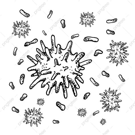 Gambar Vektor Bakteri Sketsa Hitam Diisolasi Pada Latar Belakang Putih