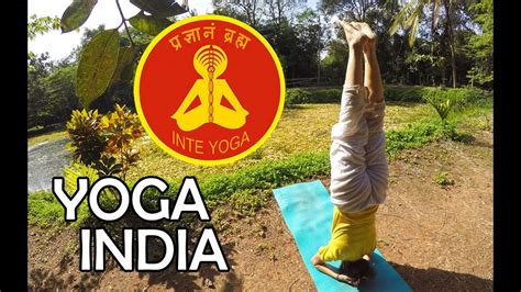 Inte Yoga Yoga Courses India Youtube