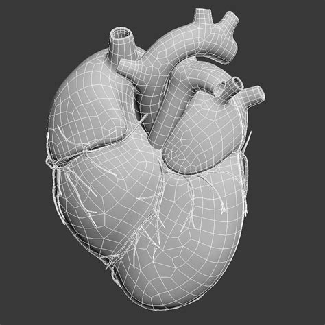 Corazón Humano Modelo 3d 199 Dxf Dae 3ds C4d Xsi Obj Ma Max