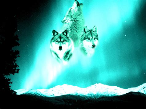 Northern Lights Wolf Spirits By Alpha Wolf Sparrow On