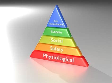 Arhive Teoria Piramidei Lui Maslow Viața în Cuvinte