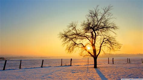 Winter Sunset Hd Wallpaper 50 Images
