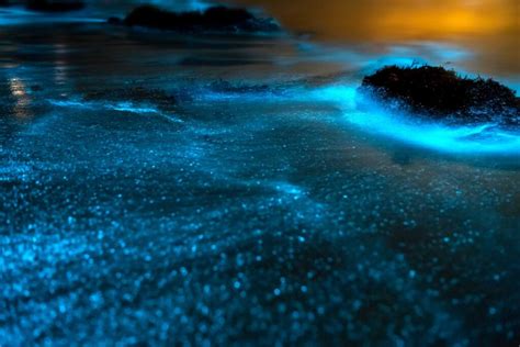 Vaadhoo Island ‘sea Of Stars Maldivess Bioluminescent Paradise