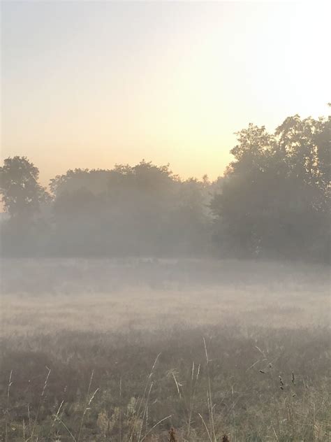Misty Morning Andreas H Flickr
