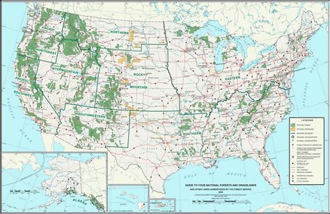 The State Of Us Forests 6 Questions Answered