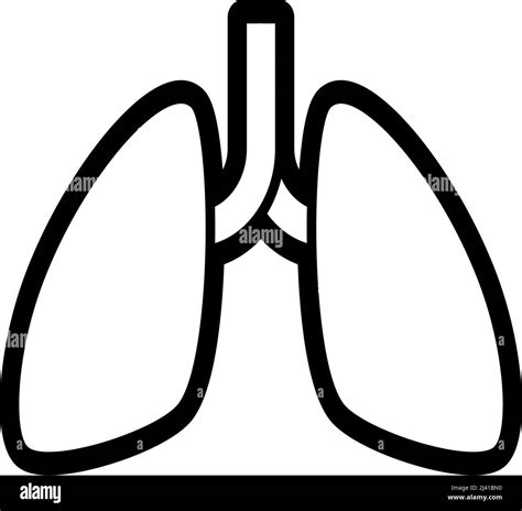 Thin Line Lungs Icon On White Background Vector Illustration Stock