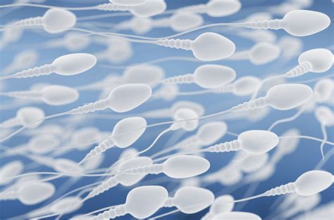 Improve Sperm Count Sperm Quality Checklist