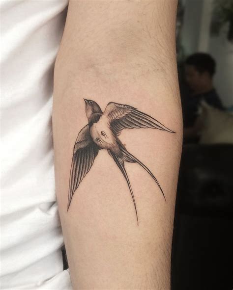 Pin By Jordanoc On Birds Tattoo Birds Tattoo Swallow Bird Tattoos