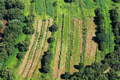 Arable Land From The Air Free Stock Photo Public Domain Pictures