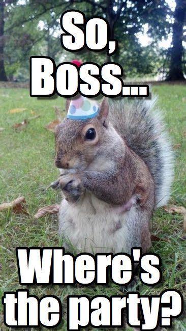 You are the key to this company's success. So, Boss... - Super Birthday Squirrel meme on Memegen ...