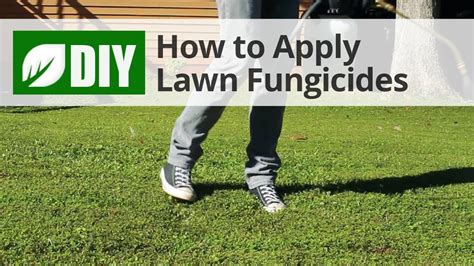 Since it can be tricky, knowing more about fungicides, how they work, and how to use them can help you most fungi need a specific chemical to gain control. How to Use Lawn Fungicides For A Lawn Fungus Treatment - YouTube