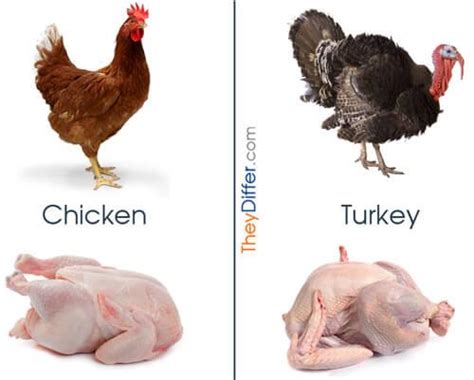 Tabla Comparativa Diferencia Entre Pavo Y Pollo