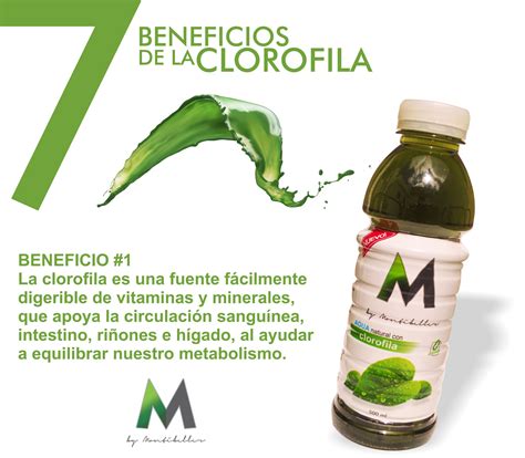 Beneficios De La Clorofila Clorofila Beneficios Vitaminas Y