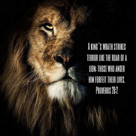 Proverbs 202 New International Version Niv Lion Quotes Lion Of