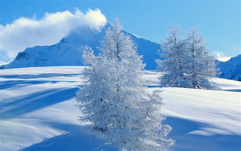 The snowfall in an area or country is the amount of snow that falls there during a. Beautiful Wallpapers: Snowfall Wallpaper