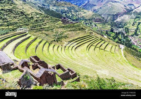 Ver En La Agricultura Inca Terrazas De Cultivo De Plantas En El Parque