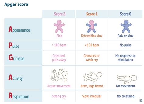 Top 10 Apgar Score Ideas And Inspiration