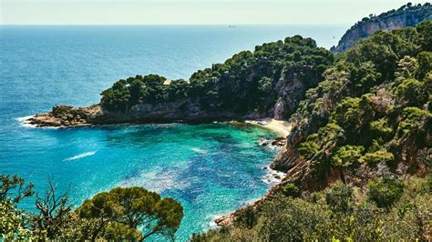 El Cambio Climático Está Alterando El Ecosistema Mediterráneo Catalán
