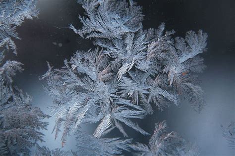 Crystals Frost Crystal Snow Ice Winter Cold Cold Temperature