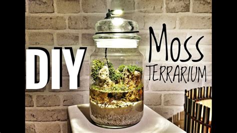 Real preserved moss w/ birch branches. TERRARIUM FAI DA TE - DIY Moss Terrarium - YouTube